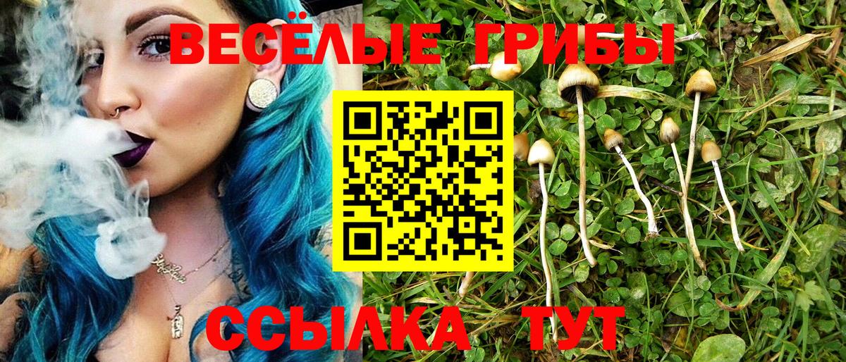 Галлюциногенные грибы Psilocybine cubensis  Вход с VPN  Кузнецк 
